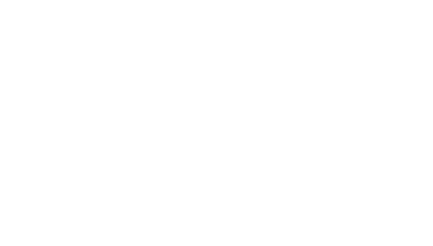 The Browley Team